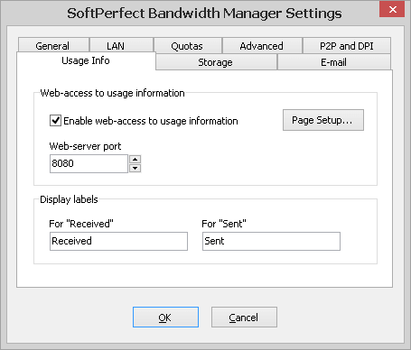 SoftPerfect Bandwidth Manager Settings - Usage Info tab