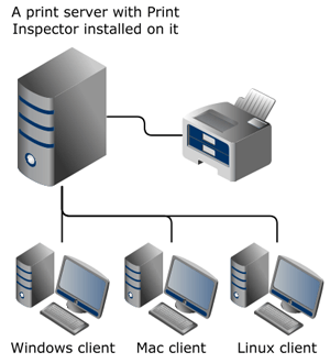 Print Inspector setup diagram